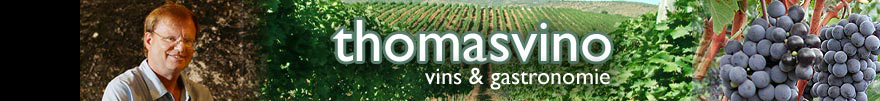 Thomasvino -  Pierre Thomas - Vins et gastronomie